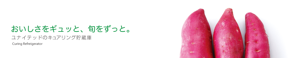 おいしさをギュッと、旬をずっと。ユナイテッドのキュアリング貯蔵庫