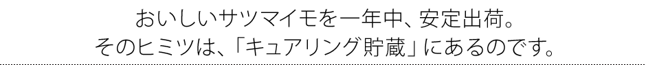 おいしいサツマイモを一年中、安定出荷。 そのヒミツは、「キュアリング貯蔵」にあるのです。